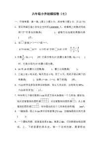 2022年人教版小学数学六年级小升初模拟卷07（含答案）