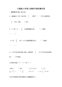 人教版六年级上册数学期末测试卷（考点精练）