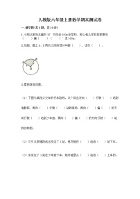 人教版六年级上册数学期末测试卷及答案（新）