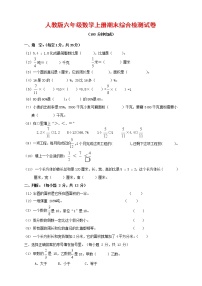 人教版六年级数学上册 第一学期期末复习综合检测试题测试卷 (20)