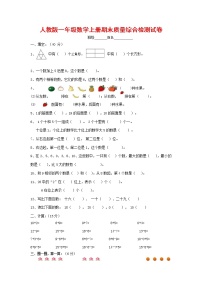 人教版一年级数学上册 第一学期期末质量综合检测试题测试卷 (28)