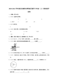 2020-2021学年湖北省襄阳市樊城区数学六年级（上）期末数学试卷（含答案）