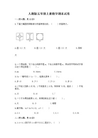 人教版五年级上册数学期末试卷含答案（新）