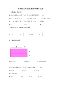 人教版五年级上册数学期末试卷及一套答案