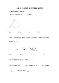 人教版六年级上册数学期末测试卷必考题