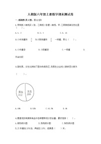 人教版六年级上册数学期末测试卷必考题