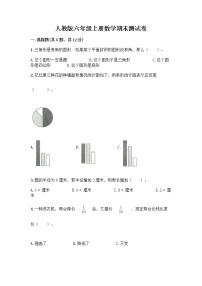 人教版六年级上册数学期末测试卷（典优）