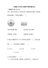 人教版六年级上册数学期末测试卷带答案下载