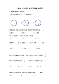 人教版六年级上册数学期末测试卷及答案（新）