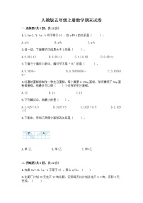 人教版五年级上册数学期末试卷附答案（预热题）