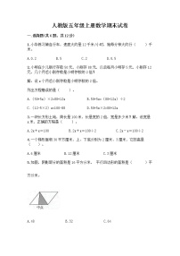 人教版五年级上册数学期末试卷（培优）