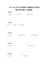 2021-2022学年六年级数学上册期末复习系列之解方程专项练习（原卷版）