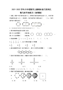 2021-2022学年六年级数学上册期末复习系列之数与形专项练习(原卷版)