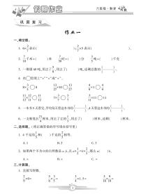 《寒假作业》数学6年级人教版（含答案）