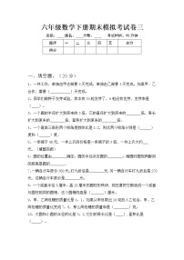 六年级数学下册试题 期末模拟试题三 人教版 含答案