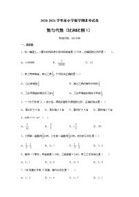 六年级下册数学试卷 2020-2021学年度小学数学数与代数专项考试卷（比和比例1） 人教版（无答案）