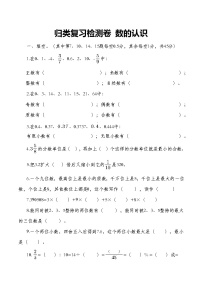 人教版数学六年级下册归类复习检测卷 数的认识（无答案）