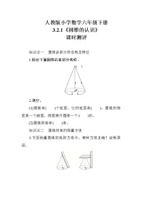 人教版六年级下册圆锥的认识课堂检测