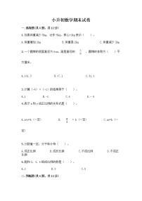 小升初数学期末试卷及答案【新】