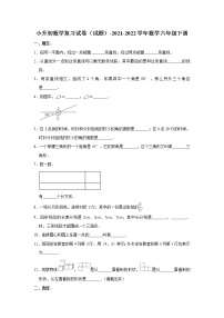 小升初数学复习试卷（试题）-2021-2022学年数学六年级下册（7）(含答案）