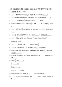 小升初数学复习试卷（试题）-2021-2022学年数学六年级下册（5）(含答案）