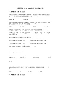 人教版六年级下册数学期中测试卷带完整答案【必刷】