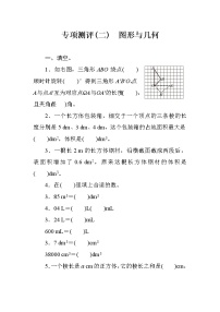 人教版小学数学五下  专项测评2 图形与几何（含答案）