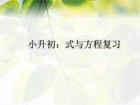 六年级数学小升初《式与方程复习》课件PPT