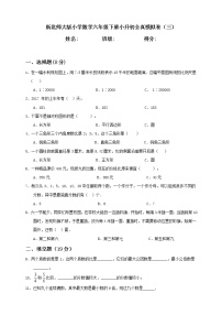 新北师大版小学数学六年级下册小升初全真模拟卷（三）含答案