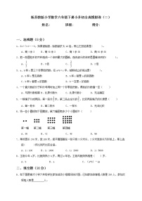 新苏教版小学数学六年级下册小升初全真模拟卷（二）含答案