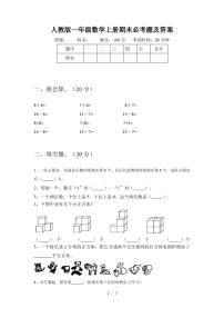 人教版一年级数学上册期末必考题及答案