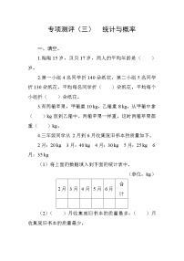 人教版数学四下  专项测评3  统计与概率（含答案）