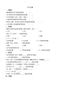2021学年变化的量同步达标检测题