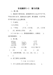 人教版数学三年级下册 专项测评1数与代数（含答案）