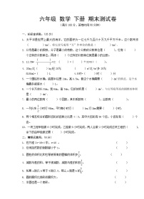 人教版 2022年六年级数学下册 期末测试卷
