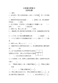 六年级数学毕业分类复习-比和比例（无答案）