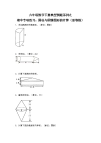 苏教版 六年级数学下册 期中专项练习：圆柱与圆锥图形的计算（原卷版+解析版）