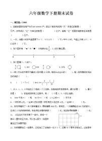 六年级数学下册期末试卷