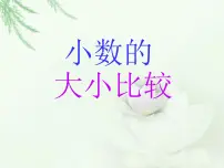 2020-2021学年六 小数的初步认识课文内容ppt课件