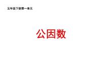 数学五年级下册公因数、公倍数教学课件ppt