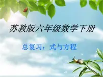 苏教版六年级下册1. 数与代数图片课件ppt