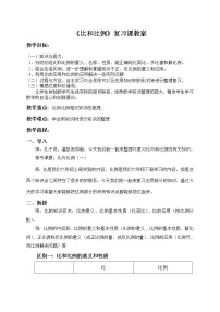 2020-2021学年第五单元 总复习数与代数教案设计