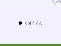 苏教版六年级下册七 总复习3. 统计与可能性课文配套ppt课件