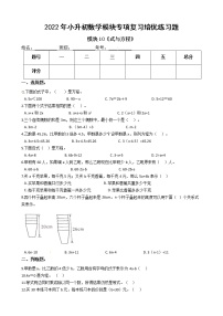 2022年小升初数学模块专项复习培优练习题  模块10《式与方程》（有答案，带解析）