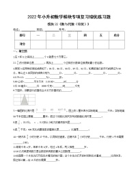 2022年小升初数学模块专项复习培优练习题  模块22《数与代数（培优）》（有答案，带解析）