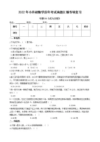 2022年小升初数学历年考试真题汇编专项复习 专题04《式与方程》(有答案,带解析)