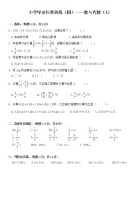 小学毕业归类训练（四）——数与代数(4)