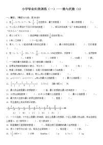 小学毕业归类训练（一）——数与代数(1)