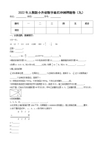 2022年人教版小升初数学最后冲刺押题卷（九）（有答案，带解析）