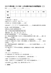 2022年青岛版（六三制）小升初数学最后冲刺押题卷（二）（有答案，带解析）